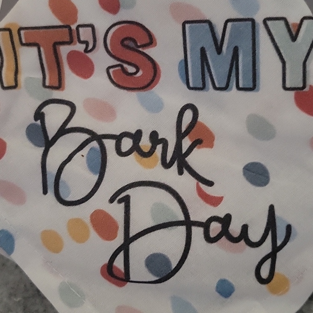 FREE W/ $10 BUNDLE Pet Bandana - It's My Bark Day - Multicolor NEW 18" Square - Picture 4 of 4